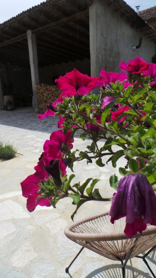 Montegrosso dʼAsti Sotto La Vigna Charm Stay Adults Only Vacation Suite المظهر الخارجي الصورة